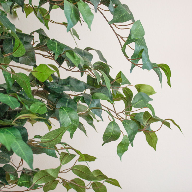 Faux Ficus Tree in Planter, 72" H x 35" W x 35" D