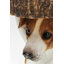 Side Table Animal Mr. Jack 33cm