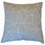 Xzavier Square Pillow Cover & Insert-1776943111