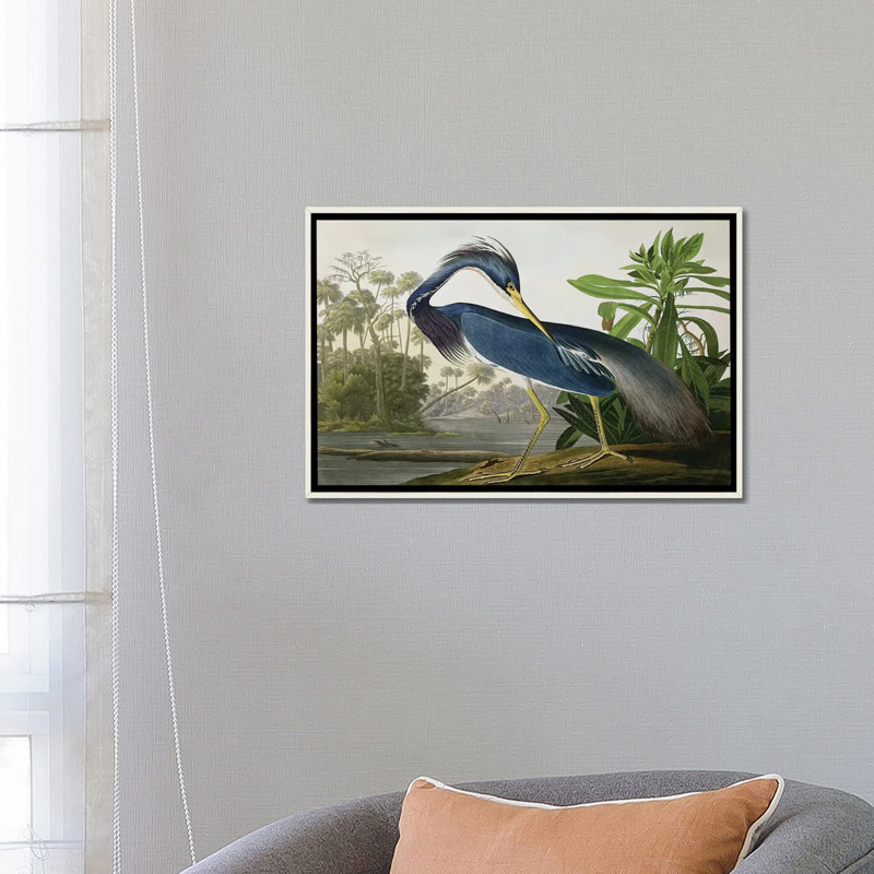 «Wick Louisiana Heron» par John James Audubon, reproduction sur toile, H 26 po x l 40 po, Impression encadrée, Blanc