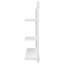 Adji Flat Mirror with Shelves-117276536-1719015