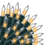 2 Pack 100 Warm White Christmas Net Lights