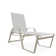 Holna Outdoor Rust-Resistant Metal Chaise Lounge