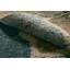 Flatweave Collection Handmade and Flatweave Wool Striped Area Rug-987105452