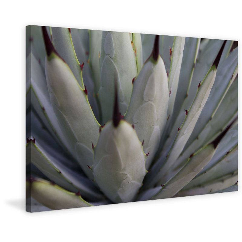Wrapped Canvas Print, 76 cm H x 114 cm W x 3.81 cm D