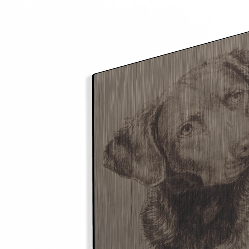 «Chessapeake Bay Retriever» par Barbara Keith, H 16 po x l 12 po