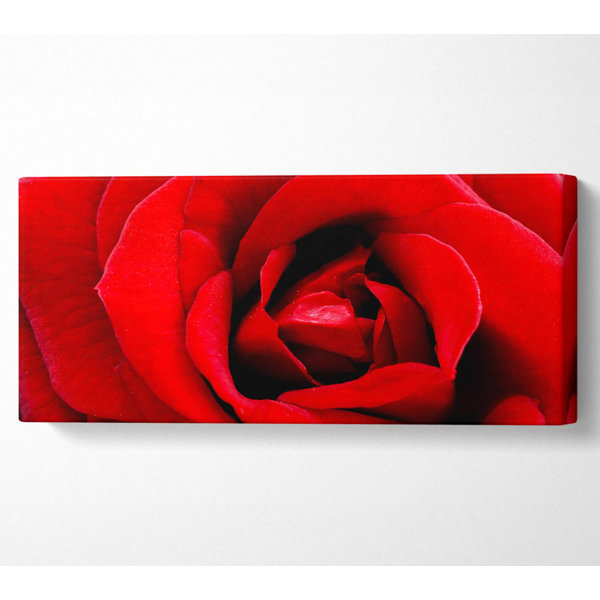 Ebern Designs Red Rose Velvet Petals - Wrapped Canvas Panoramic Print ...