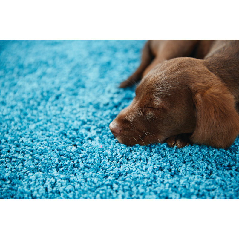 Solid Colour Shaggy Teal Area Rug, Rectangle 100 x 150cm