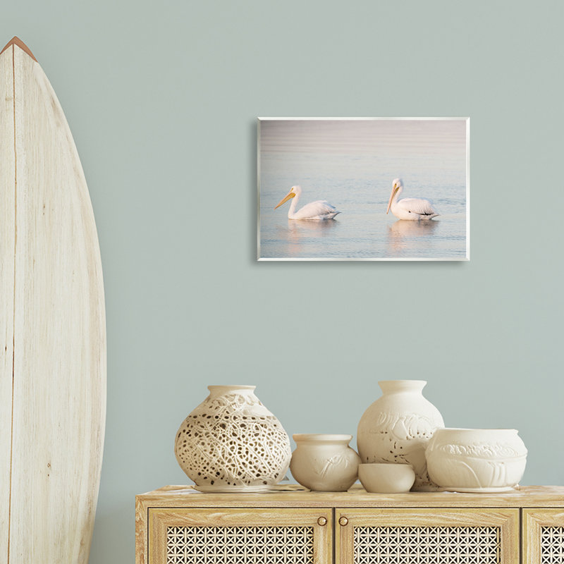 «Pelicans on Calm Waters» par Danita Delimont, H 13 po x l 19 po