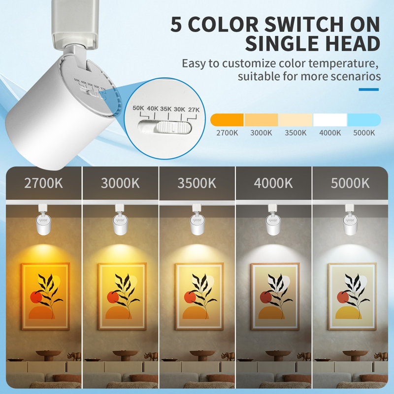 5CCT White  LED Track Lighting Heads