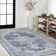 Heidine Chenille Cottage Medallion Machine-Washable Gray/Blue/White Rug