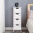 Danilla Freestanding Bathroom Cabinet