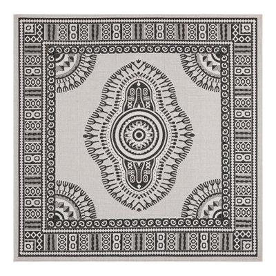 Oriental Indoor / Outdoor Rug