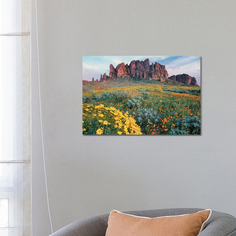 California Brittlebush, Lost Dutchman State Park, Superstition Mountains by Tim Fitzharris - Wrapped Canvas Print