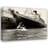 SS Queen Elizabeth 1948-313557110
