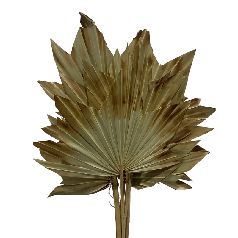 Fallon Arrangement