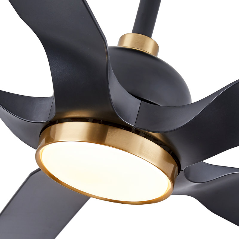 Kaveesh 60'' Ceiling Fan with LED Lights, Black