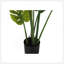 Plante artificielle, arbre Monstera, intérieur, faux, faux, plancher, verdure, pot, véritable touche, décoratif, feuilles vertes, pot noir-1515091742