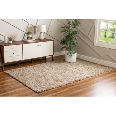 Dekai Shag Area Rug
