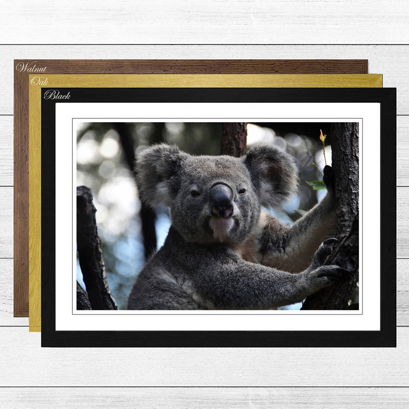 Single Picture Frame Print, Black