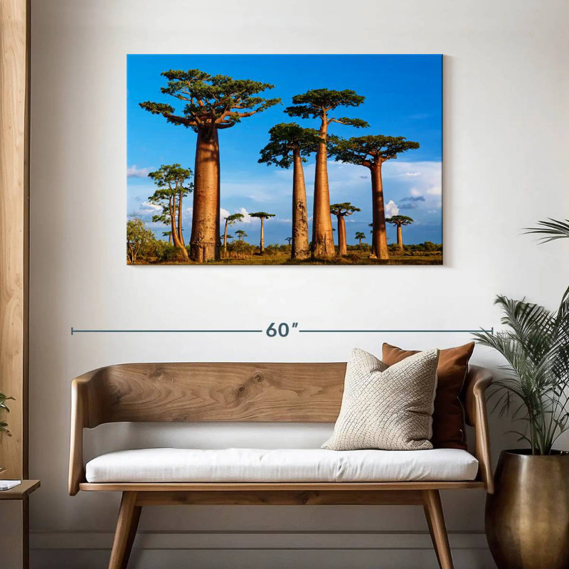 Morondava, forêt de Baobab, H 30 po x l 45 po