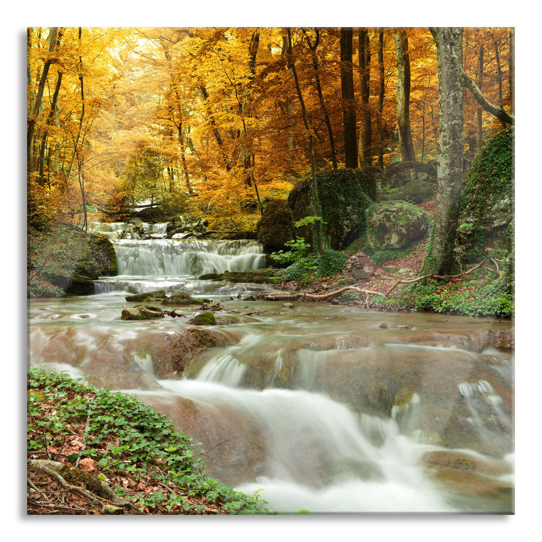 Glasbild Waldbach im Herbst