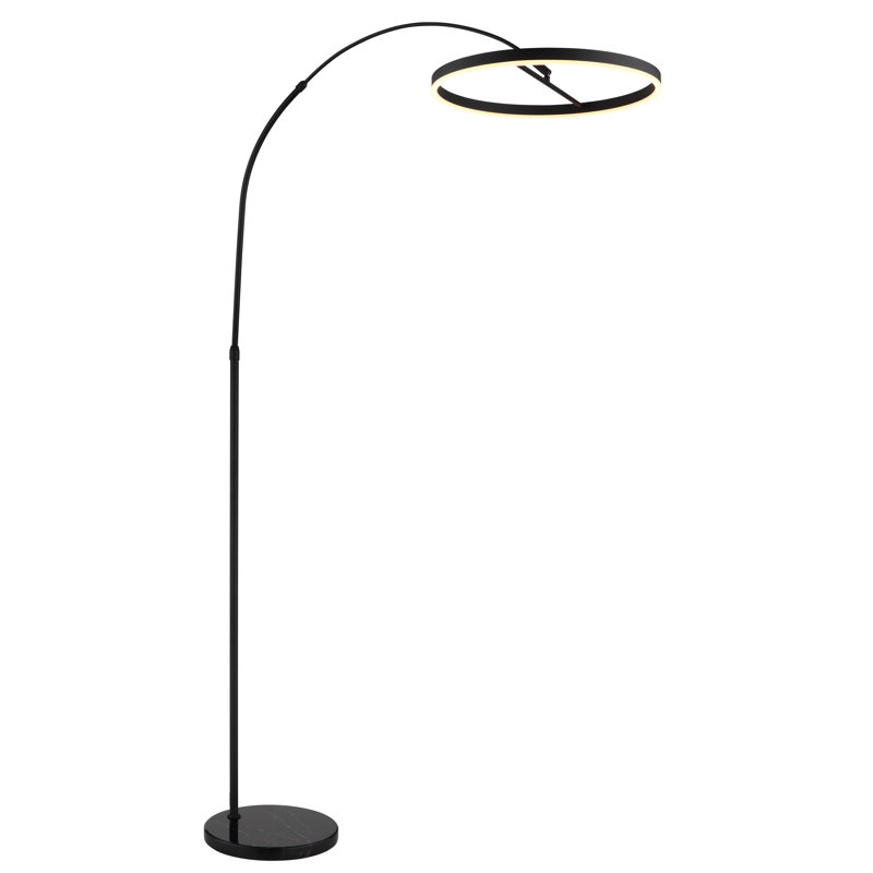 203cm Matte LED Novelty Floor Lamp