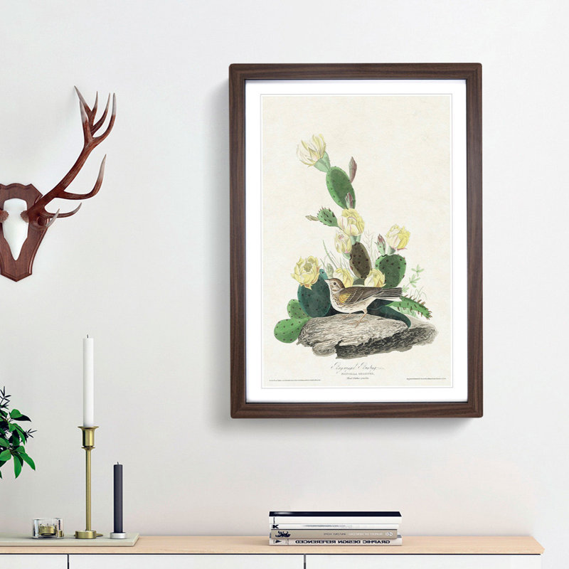 Grass Finch Bird by John James Audubon - Picture Frame Art Print, 65cm H x 48cm W x 2cm D, Walnut Framed