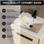 Bathroom Vanity Base With Basin, Storage Cabinet With Doors