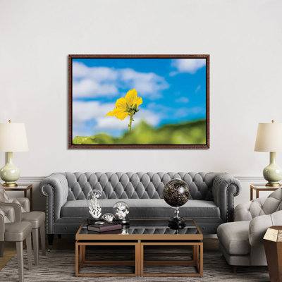 Close-Up Of Flower, Corning, New York, USA by Panoramic Images - Print on Canvas