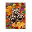 Trois ratons laveurs en automne sur toile-1449109171