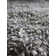 Adamell Shag Area Rug