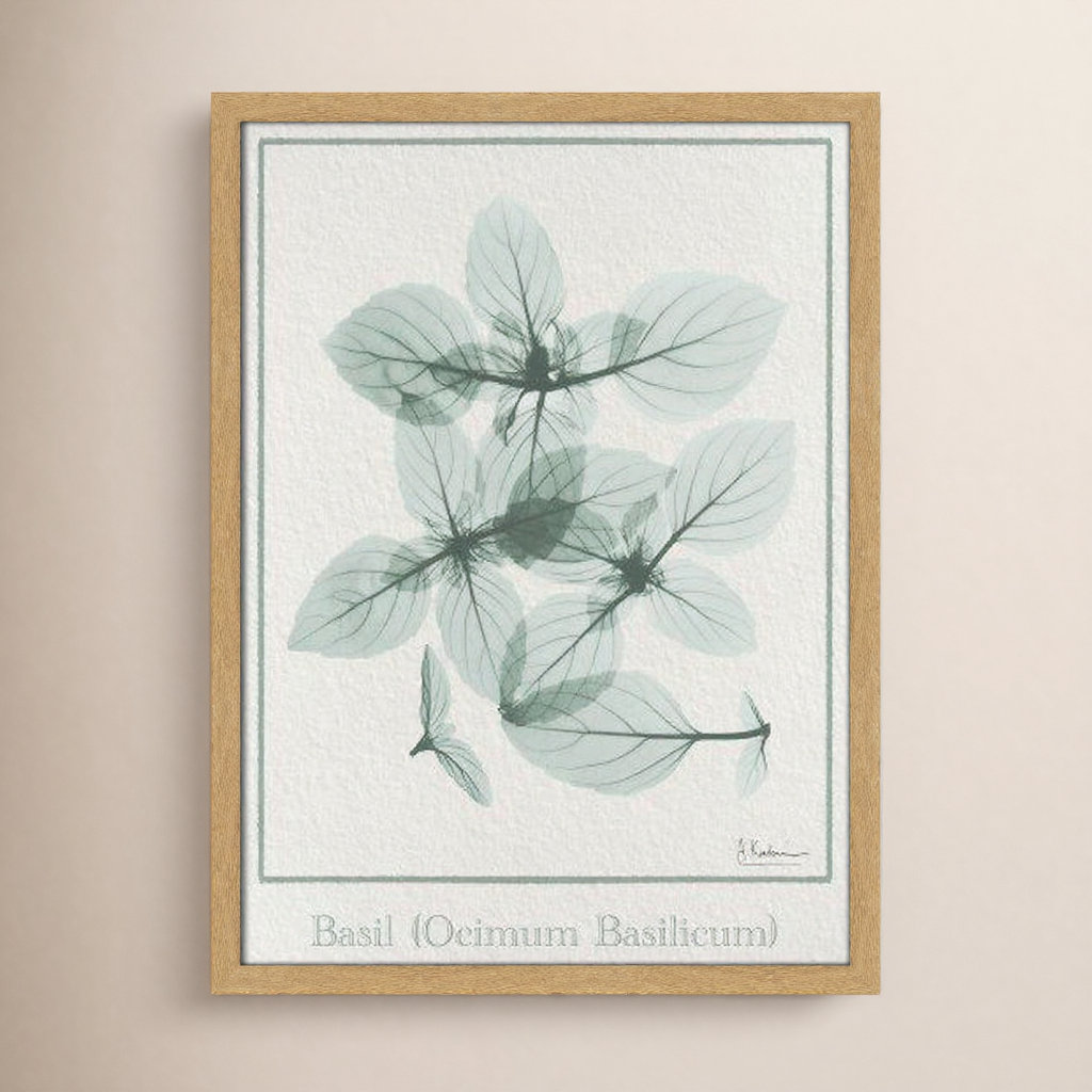Jeanette "Basil Ocimum Basilicum" Painting, 23" H x 17" W x 1.25" D, Brown Framed Paper