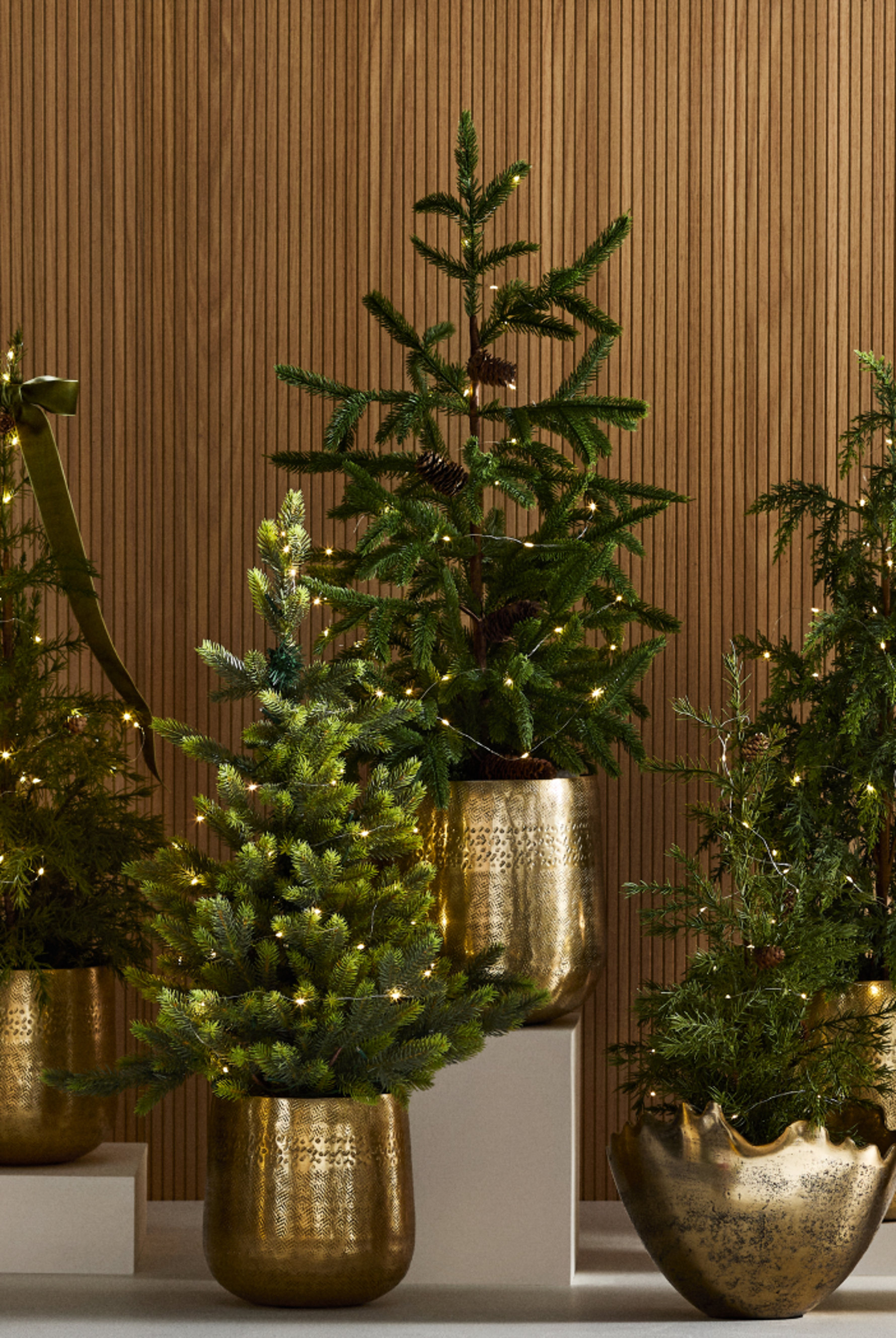 Mini Christmas Trees
