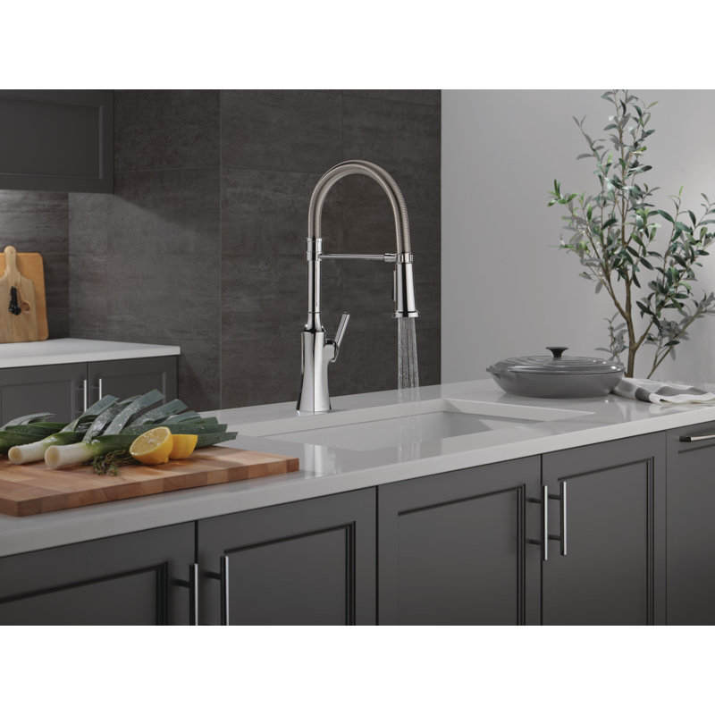 Robinet de cuisine Ermelo Pro, Chrome