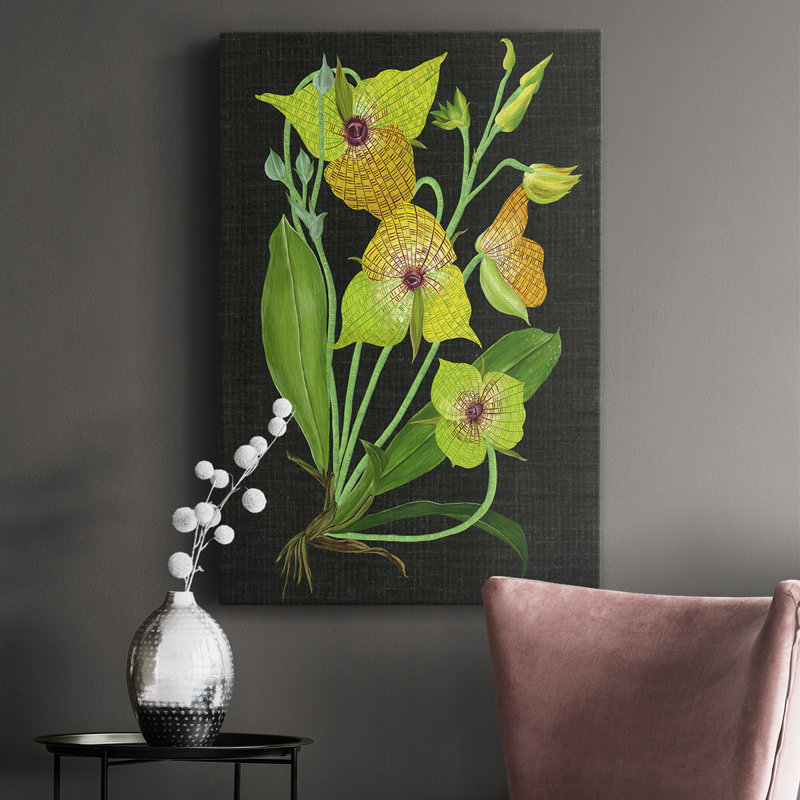 Telipogon Caulescens II - peinture sur toile tendue, H 18 po x l 12 po x P 1 po