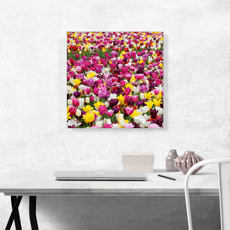 "Tulipes" Home Decor Square - Reproduction de photo sur toile tendue, H 18 po x l 18 po x P 0,75 po