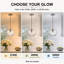 Luminaire suspendu sphérique en verre 1 lumière pour îlot de cuisine Emiliani-37239014-37265185
