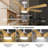Klaudius 56'' Ceiling Fan with LED Lights-1272956263-1272956260