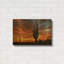 «Mesa Saguaro Sunset 5078» par Mike Jones, art mural en métal doré, 24 po x 16 po-133440976