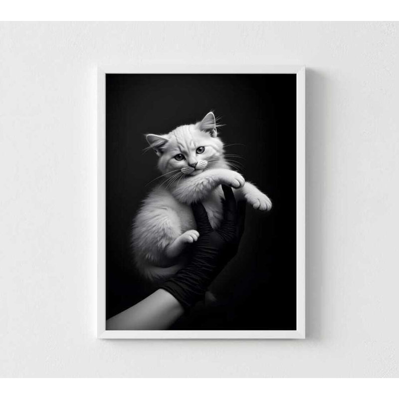 Chaton, art mural: noir et blanc minimaliste - Portrait d'un animal doux, H 10 po x l 8 po, Black