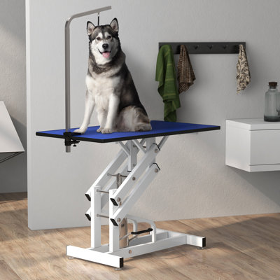 Table de toilettage pliable pour chien avec accoudoirs 36,2 po x l 42,5 po x P 23,6 po