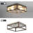 Arguster Glass Flush Mount