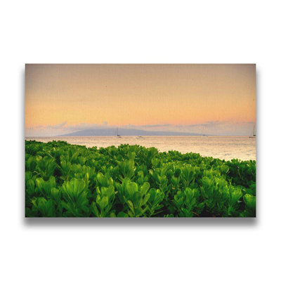 «Beach Plants Ka? Anapali» par Kelly Wade. Toile giclée sur toile