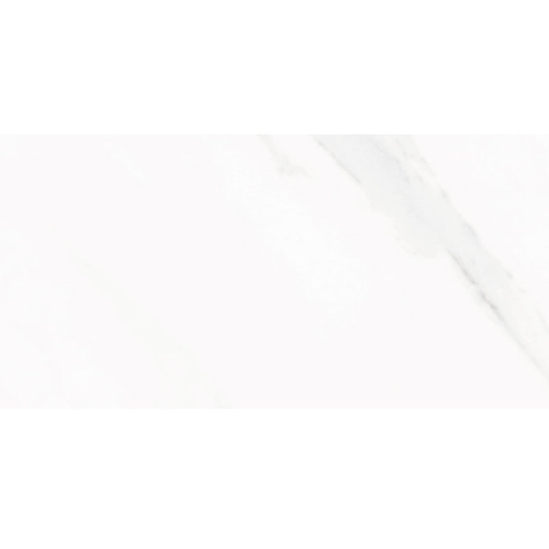 Delaney 24" x 48" Polished Porcelain Floor and Wall Tile