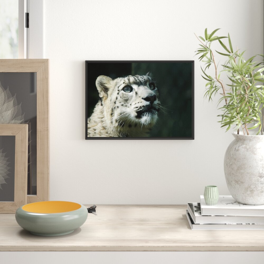 Gerahmtes Wandbild Leopard