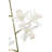 26" Artificial White Orchid in Vanda Pot