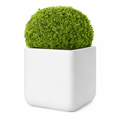 Kute Nest Indoor/Outdoor H11.5" Cubo Fiberstone Planter - Santorini White - Pot Opening 9"