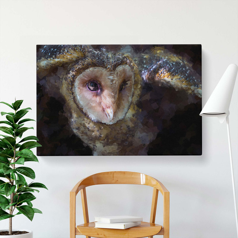 Masked Owl In Abstract - Wrapped Canvas Painting, 35cm H x 50cm W x 3cm D