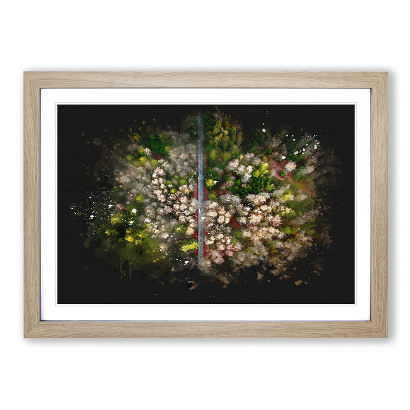 Separating The Forest - Picture Frame Graphic Art, Oak Framed, 45cm H x 63cm W x 2cm D